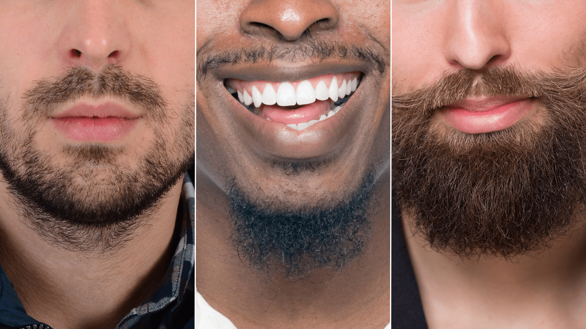 Quels sont les différents types de barbe ? – INTO THE BEARD