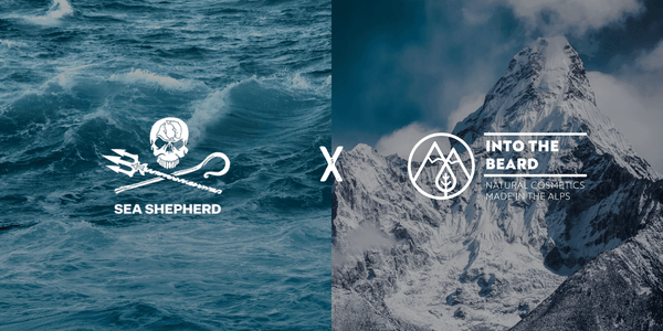 Sea Shepherd x Into The Beard - Une collaboration unique - INTO THE BEARD