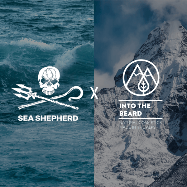 Huile à barbe bio Ocean - Sea Shepherd x Into The Beard - INTO THE BEARD